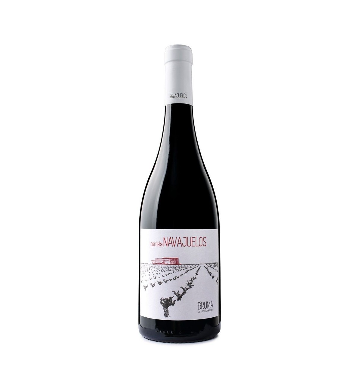 Parcela Navajuelos - Bruma del Estrecho - Viña Elena - DOP Jumilla - muchosvinos.com