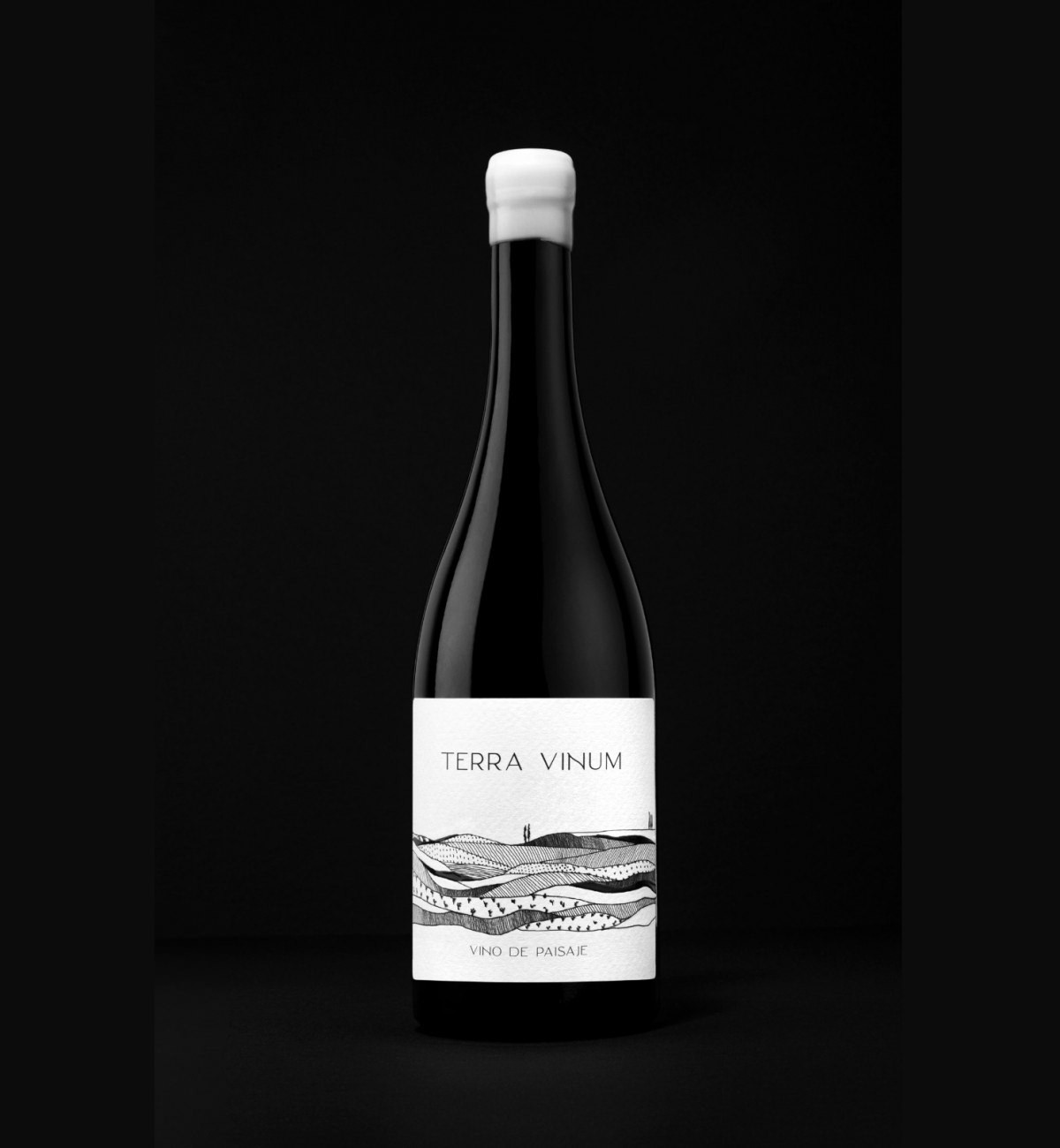 Terra vinum - vino de paisaje. Jumilla. muchosvinos.com