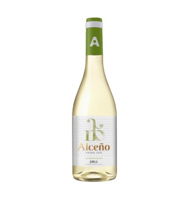 Pack 6 Vinos para Disfrutar en Casa